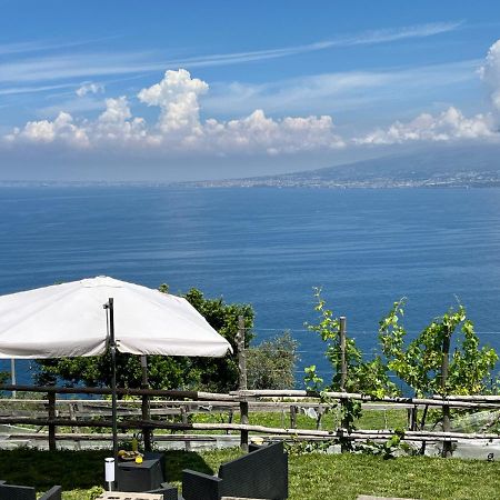 La Badia Montechiaro - Breathtaking View Of Sorrento Coast Villa Vico Equense Ngoại thất bức ảnh