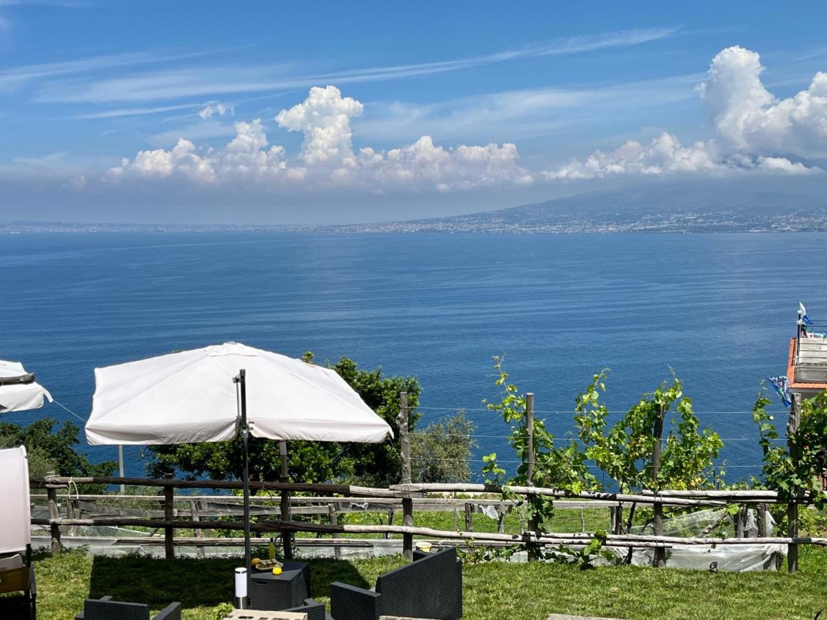 La Badia Montechiaro - Breathtaking View Of Sorrento Coast Villa Vico Equense Ngoại thất bức ảnh