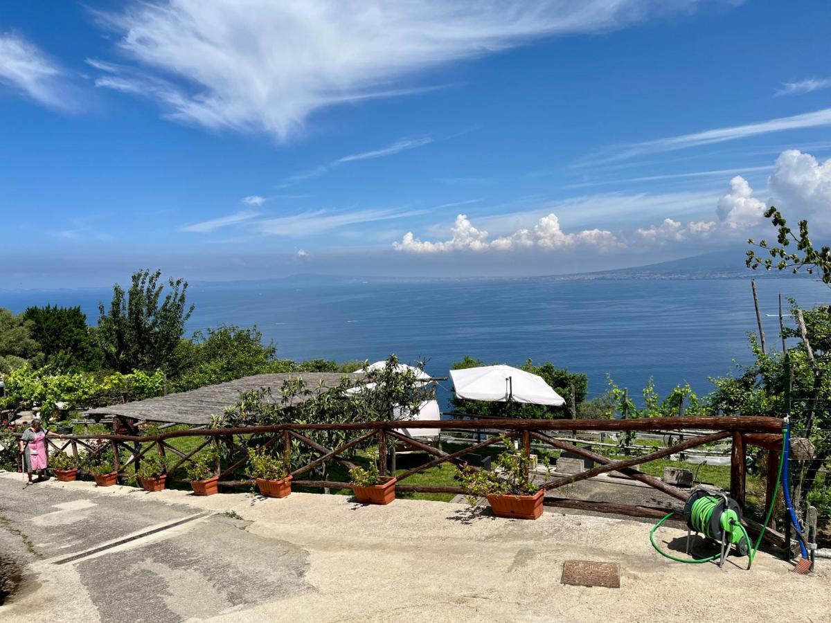 La Badia Montechiaro - Breathtaking View Of Sorrento Coast Villa Vico Equense Ngoại thất bức ảnh